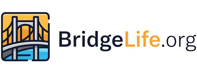 Logo for bridgelife.org